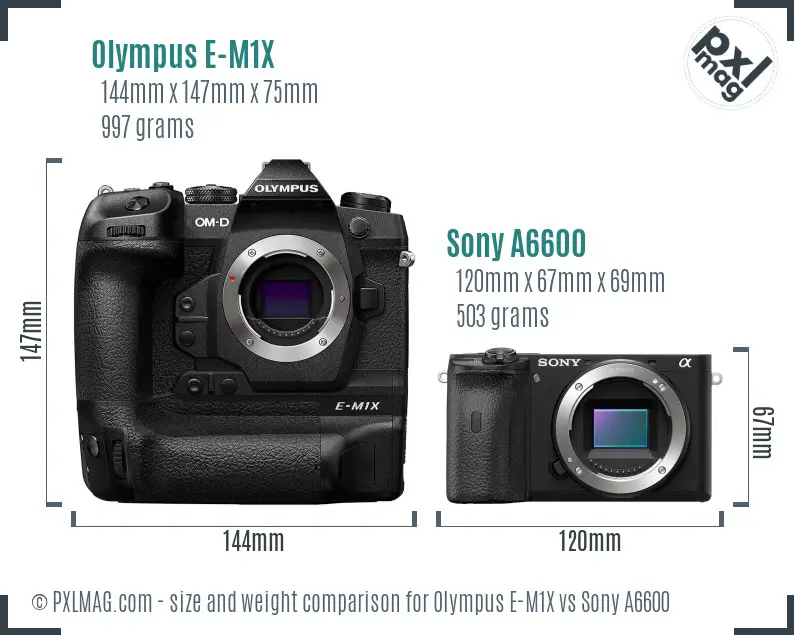 Olympus E-M1X vs Sony A6600 size comparison