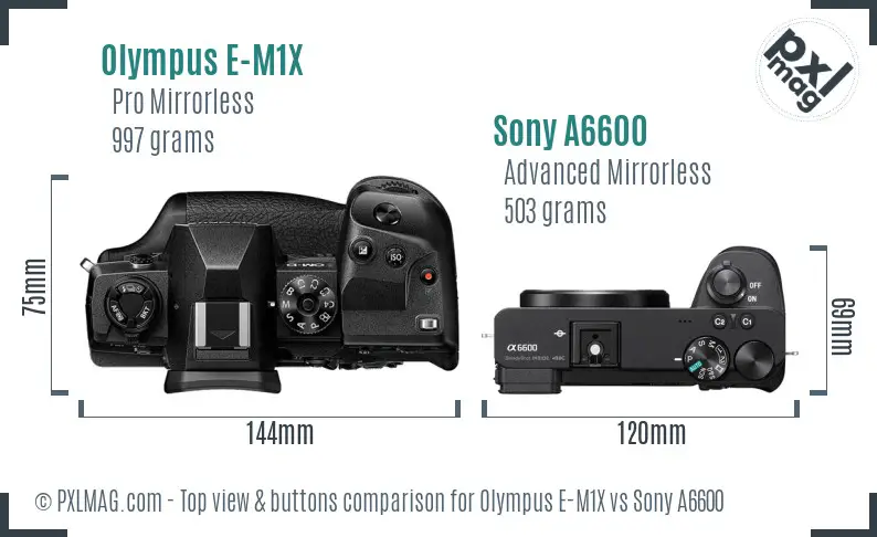 Olympus E-M1X vs Sony A6600 top view buttons comparison