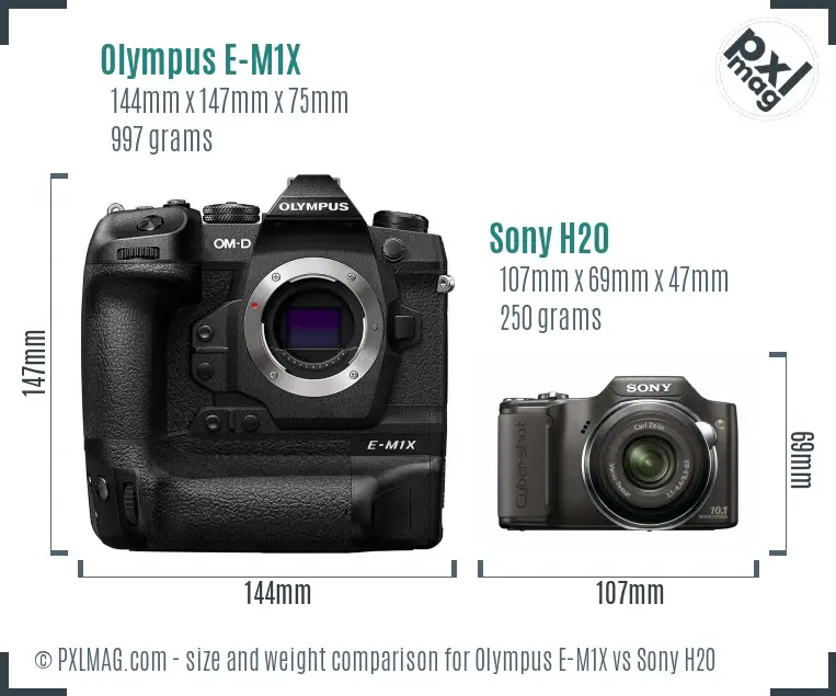 Olympus E-M1X vs Sony H20 size comparison