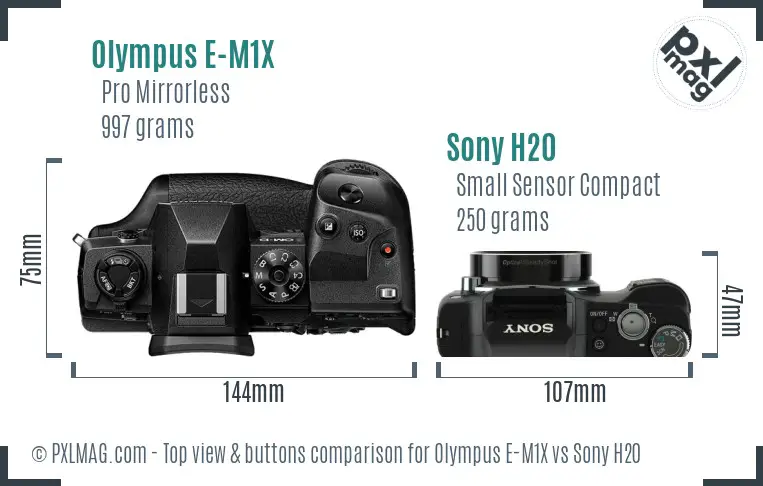 Olympus E-M1X vs Sony H20 top view buttons comparison