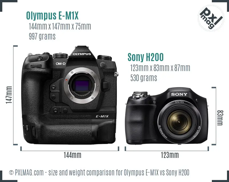 Olympus E-M1X vs Sony H200 size comparison