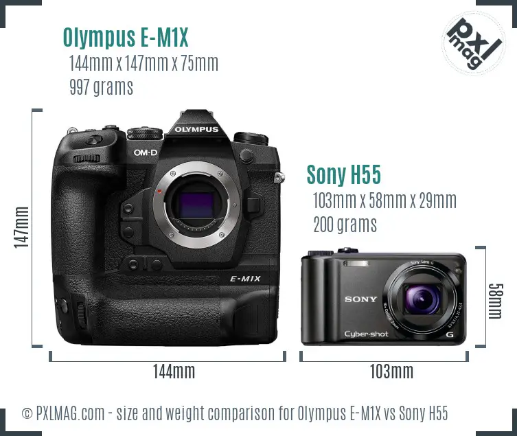 Olympus E-M1X vs Sony H55 size comparison