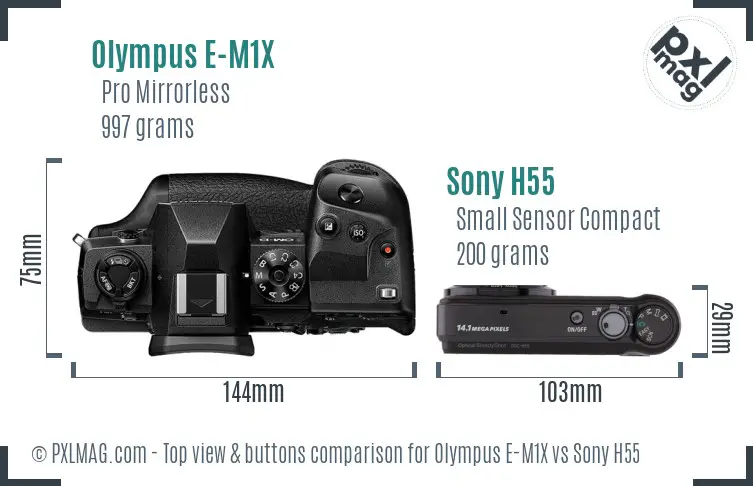 Olympus E-M1X vs Sony H55 top view buttons comparison