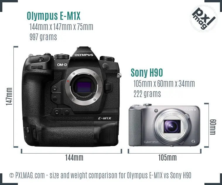 Olympus E-M1X vs Sony H90 size comparison