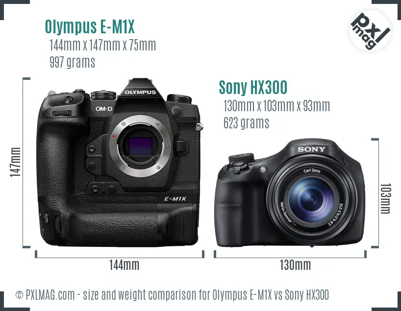 Olympus E-M1X vs Sony HX300 size comparison