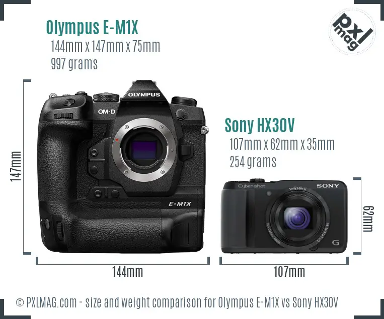 Olympus E-M1X vs Sony HX30V size comparison