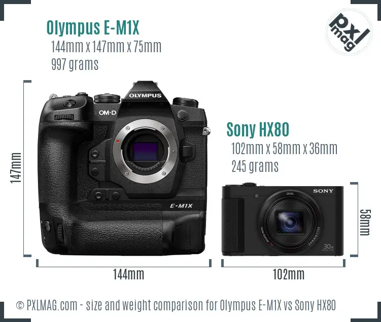 Olympus E-M1X vs Sony HX80 size comparison
