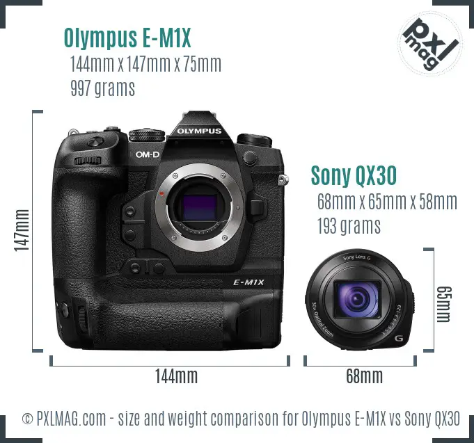 Olympus E-M1X vs Sony QX30 size comparison