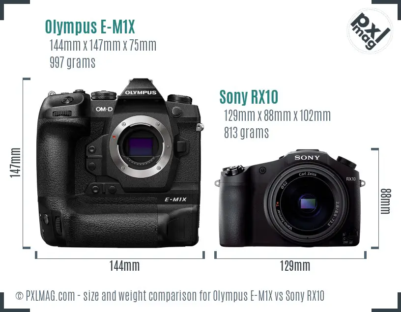 Olympus E-M1X vs Sony RX10 size comparison