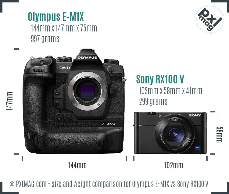 Olympus E-M1X vs Sony RX100 V size comparison