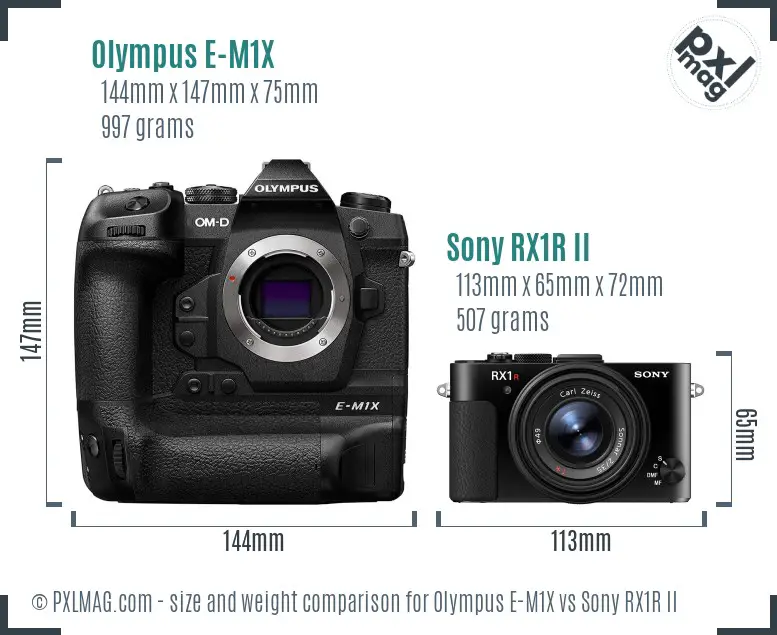 Olympus E-M1X vs Sony RX1R II size comparison Olympus E-M1X vs Sony RX1R II size comparison
