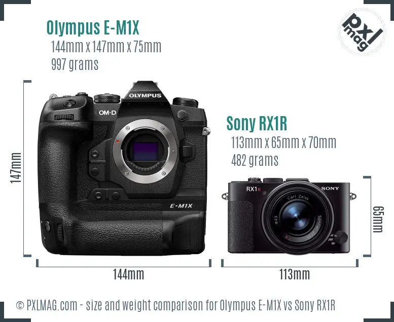 Olympus E-M1X vs Sony RX1R size comparison