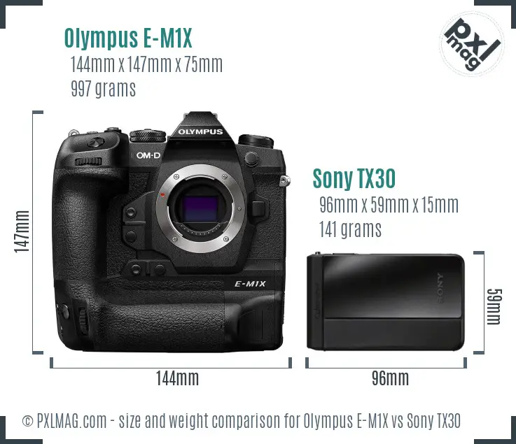 Olympus E-M1X vs Sony TX30 size comparison Olympus E-M1X vs Sony TX30 size comparison