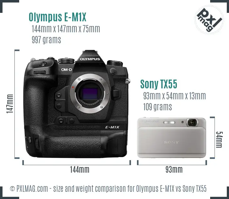 Olympus E-M1X vs Sony TX55 size comparison