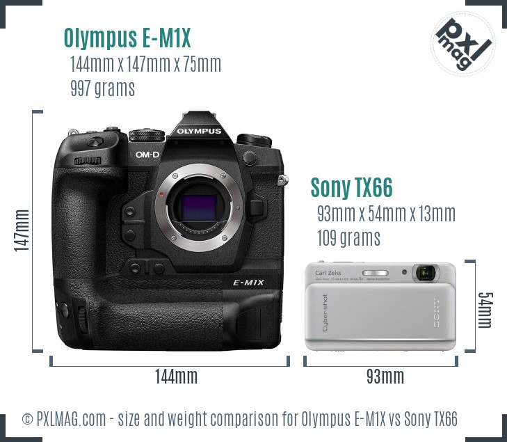 Olympus E-M1X vs Sony TX66 size comparison