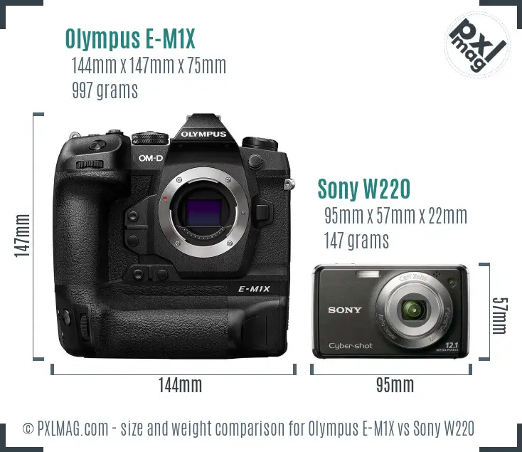Olympus E-M1X vs Sony W220 size comparison