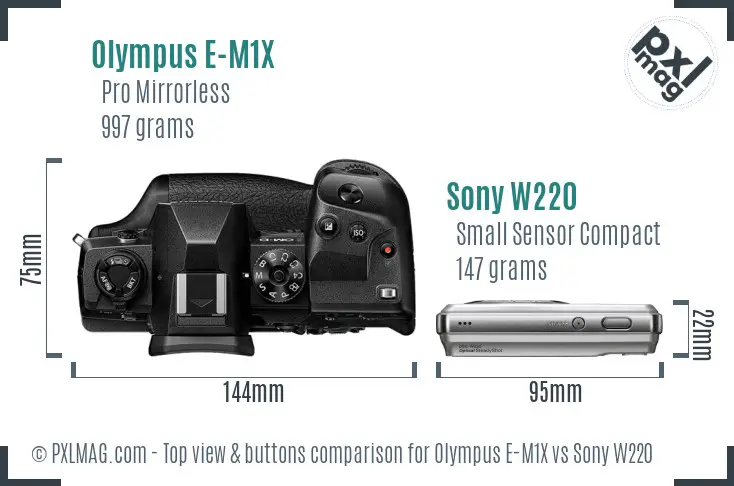 Olympus E-M1X vs Sony W220 top view buttons comparison