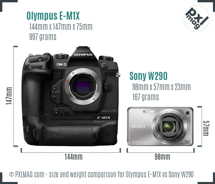 Olympus E-M1X vs Sony W290 size comparison