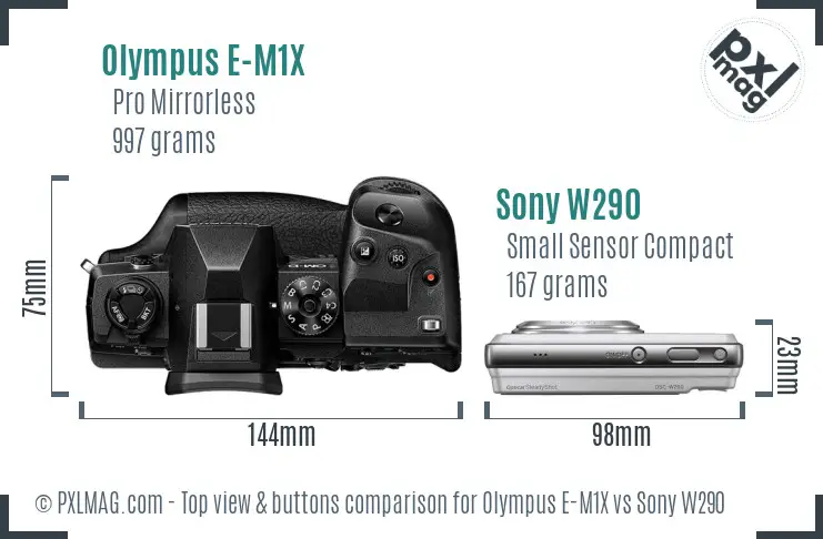 Olympus E-M1X vs Sony W290 top view buttons comparison