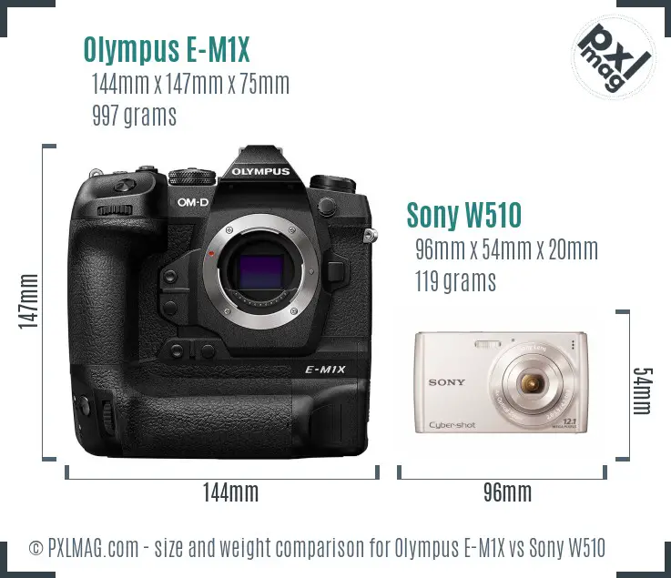 Olympus E-M1X vs Sony W510 size comparison