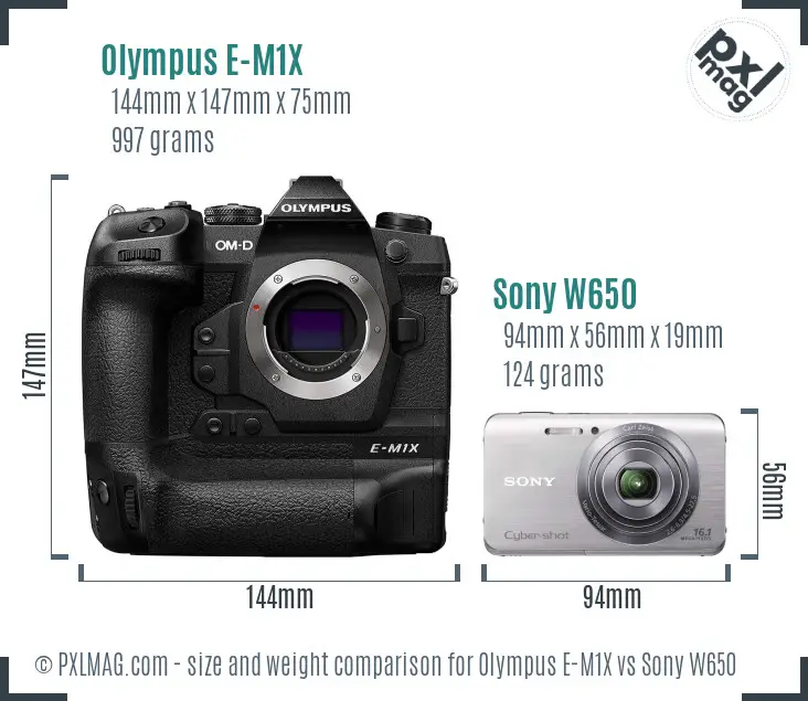 Olympus E-M1X vs Sony W650 size comparison
