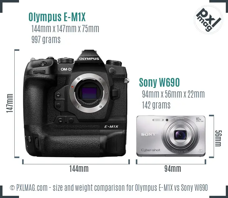 Olympus E-M1X vs Sony W690 size comparison