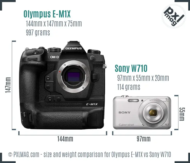 Olympus E-M1X vs Sony W710 size comparison