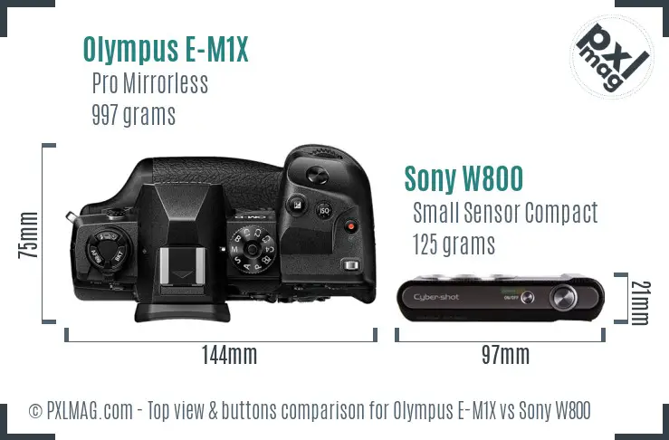 Olympus E-M1X vs Sony W800 top view buttons comparison