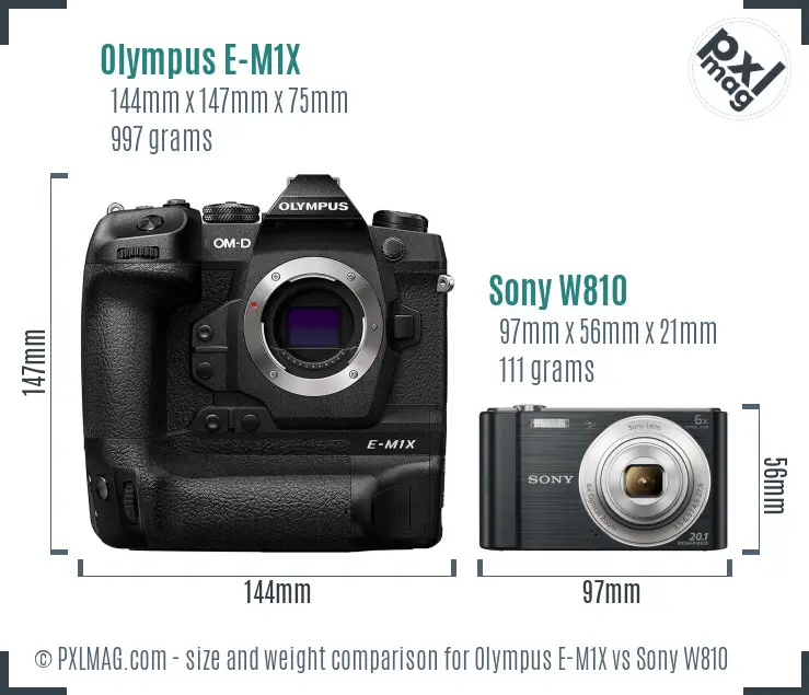 Olympus E-M1X vs Sony W810 size comparison