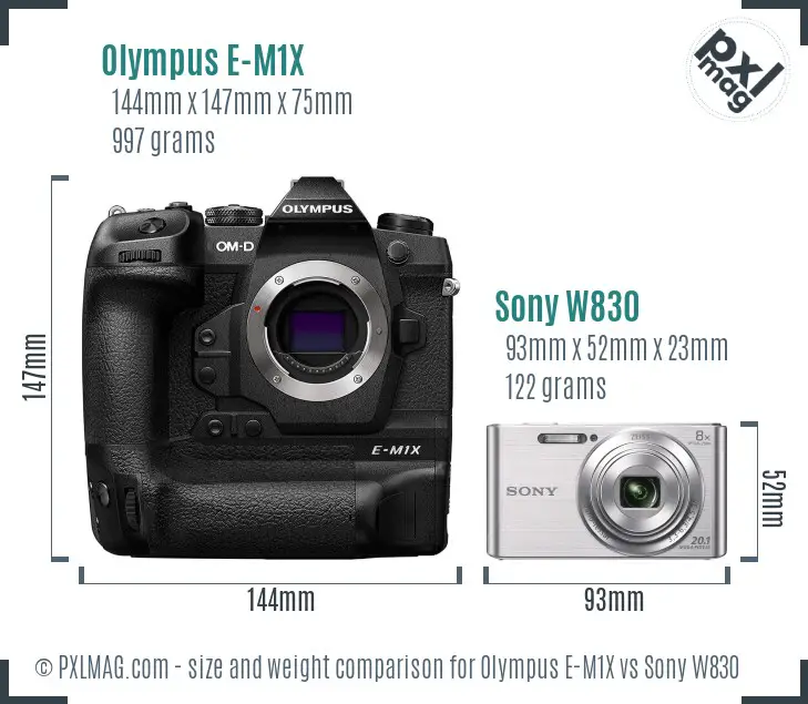 Olympus E-M1X vs Sony W830 size comparison