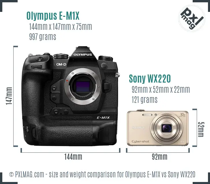 Olympus E-M1X vs Sony WX220 size comparison