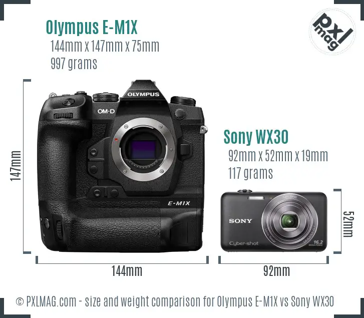 Olympus E-M1X vs Sony WX30 size comparison
