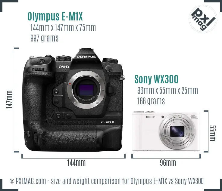 Olympus E-M1X vs Sony WX300 size comparison
