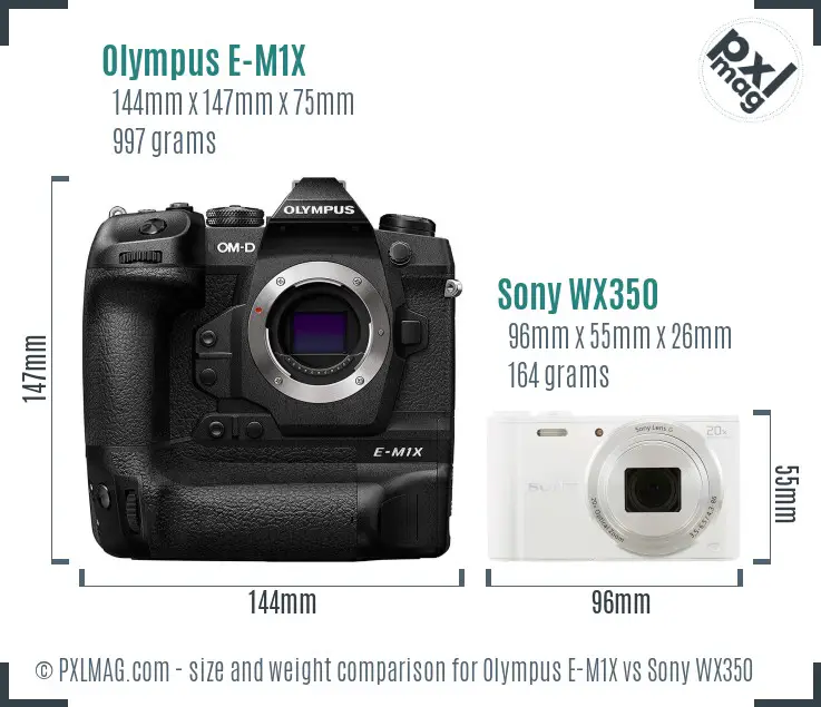 Olympus E-M1X vs Sony WX350 size comparison