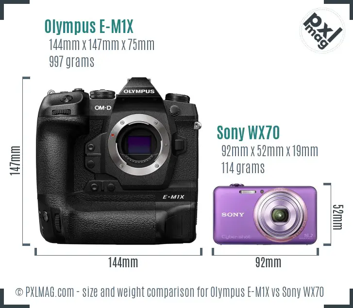 Olympus E-M1X vs Sony WX70 size comparison