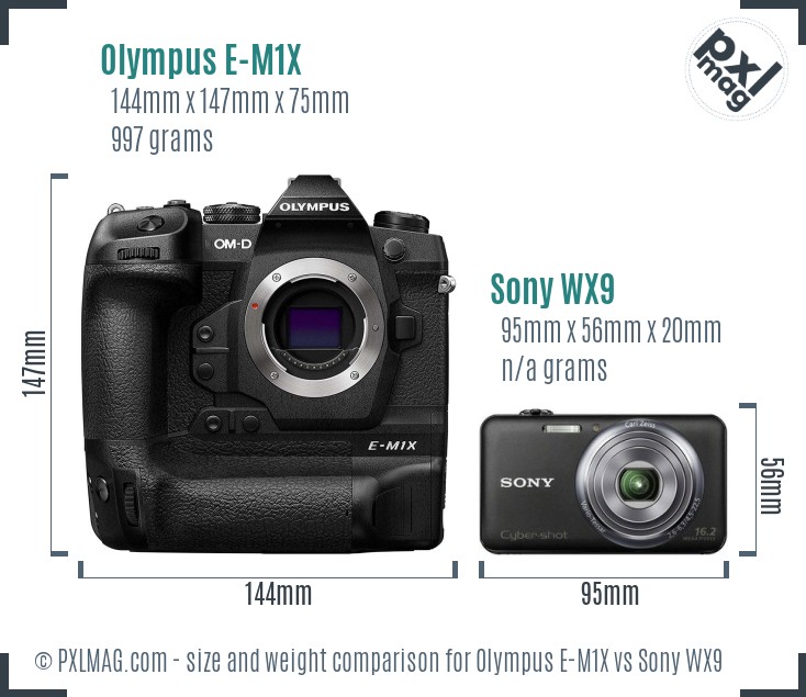 Olympus E-M1X vs Sony WX9 size comparison