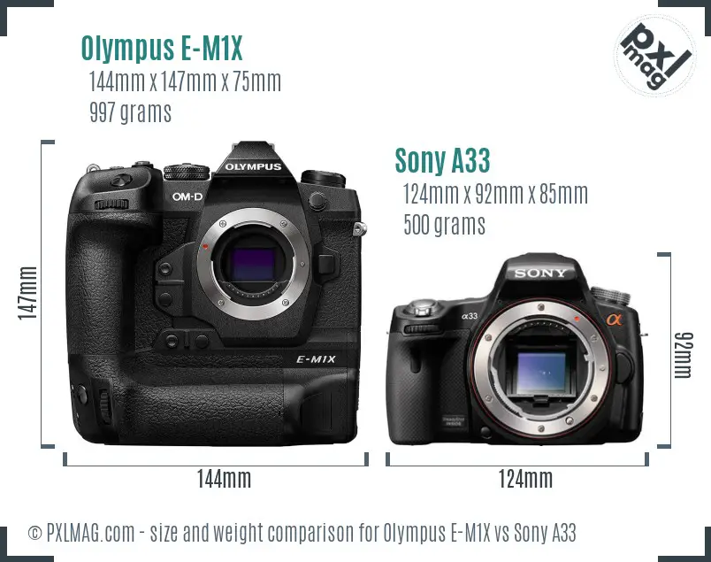 Olympus E-M1X vs Sony A33 size comparison
