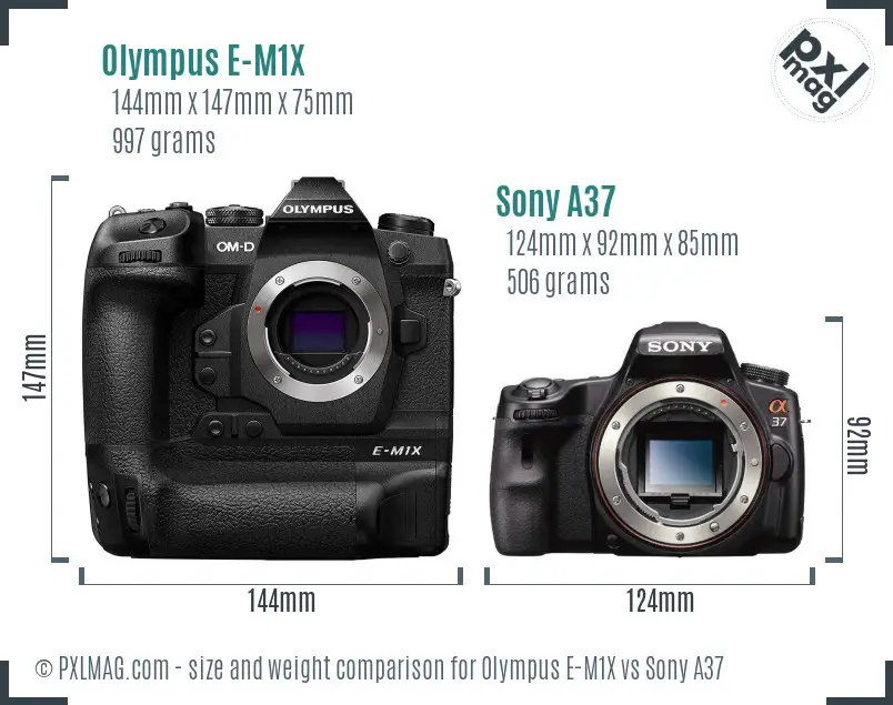 Olympus E-M1X vs Sony A37 size comparison