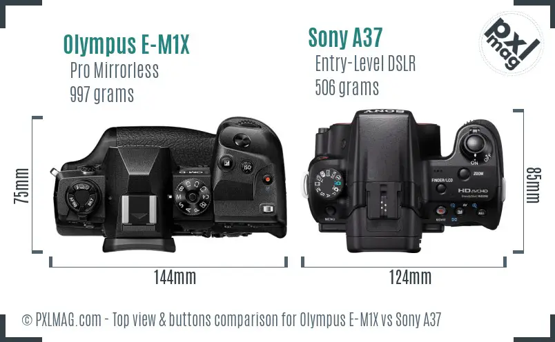 Olympus E-M1X vs Sony A37 top view buttons comparison