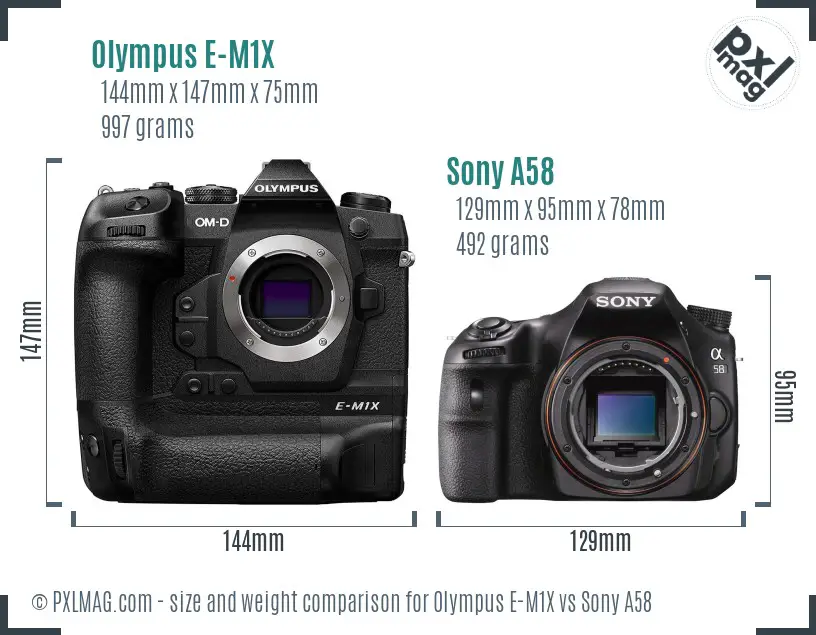 Olympus E-M1X vs Sony A58 size comparison