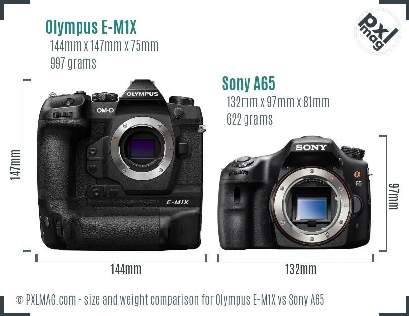 Olympus E-M1X vs Sony A65 size comparison