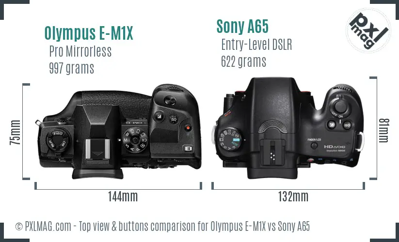 Olympus E-M1X vs Sony A65 top view buttons comparison