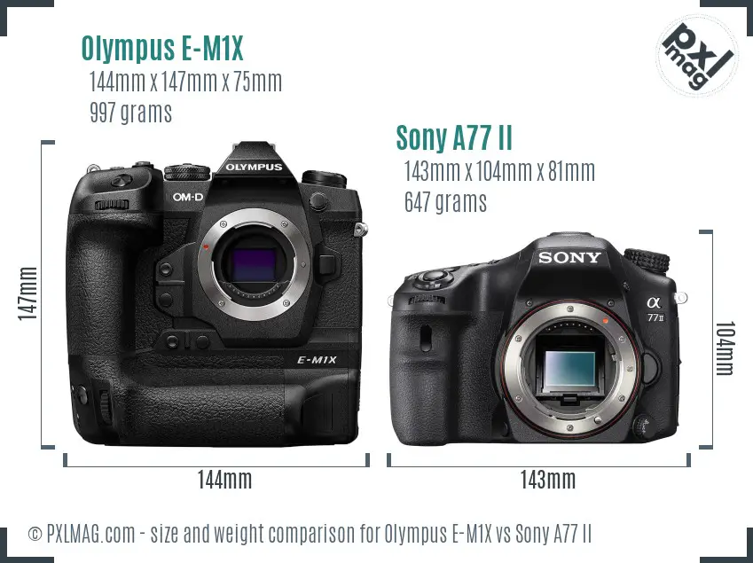 Olympus E-M1X vs Sony A77 II size comparison