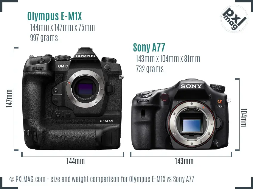 Olympus E-M1X vs Sony A77 size comparison