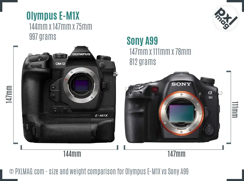 Olympus E-M1X vs Sony A99 size comparison