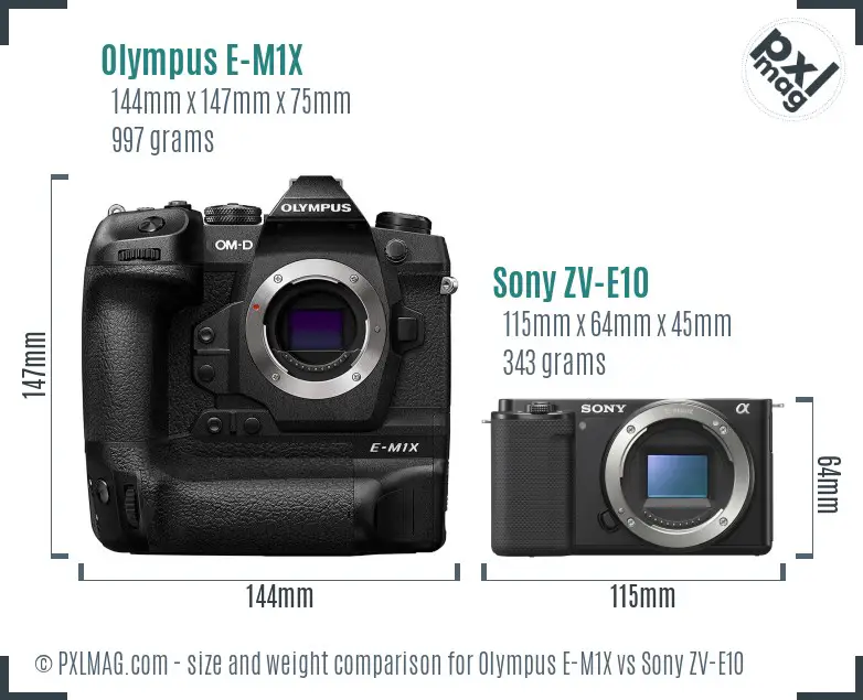 Olympus E-M1X vs Sony ZV-E10 size comparison Olympus E-M1X vs Sony ZV-E10 size comparison