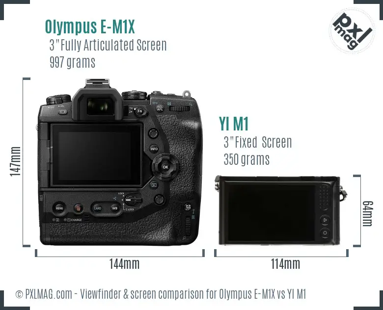Olympus E-M1X vs YI M1 Screen and Viewfinder comparison Olympus E-M1X vs YI M1 Screen and Viewfinder comparison