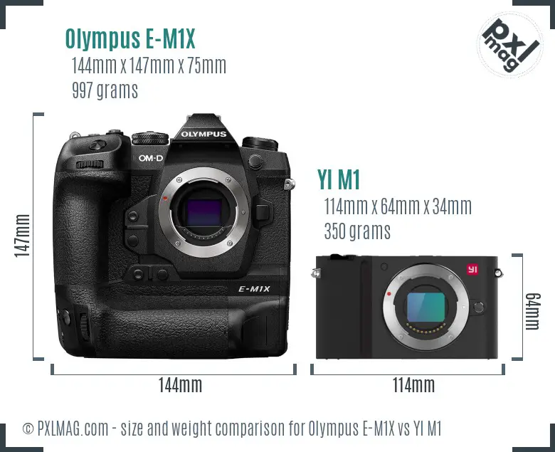 Olympus E-M1X vs YI M1 size comparison Olympus E-M1X vs YI M1 size comparison