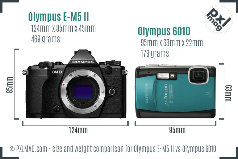 Olympus E-M5 II vs Olympus 6010 size comparison