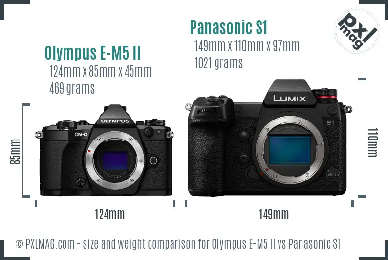 Olympus E-M5 II vs Panasonic S1 size comparison